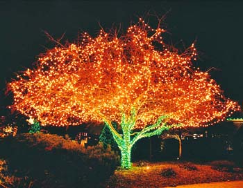 Lightingimage5