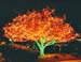 Lightingimage5