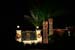 Welch_7386