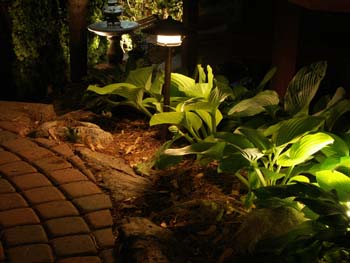 PICT0099